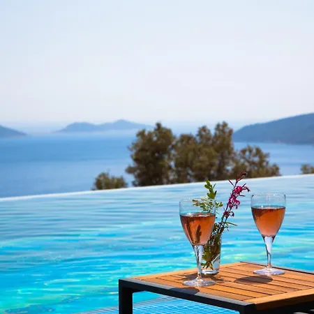 Panorama Luxury ヴィラ カシュ